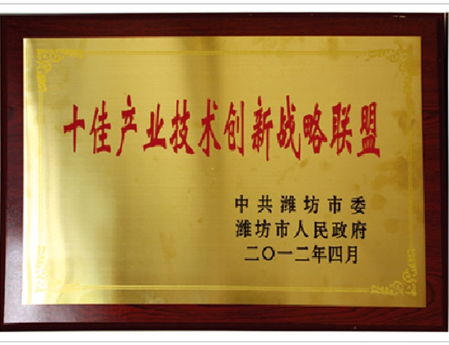 十佳產(chǎn)業(yè)技術(shù)創(chuàng  )新戰略聯(lián)盟