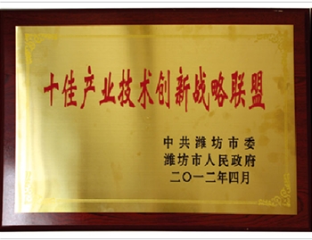 十佳產(chǎn)業(yè)技術(shù)創(chuàng  )新戰略聯(lián)盟
