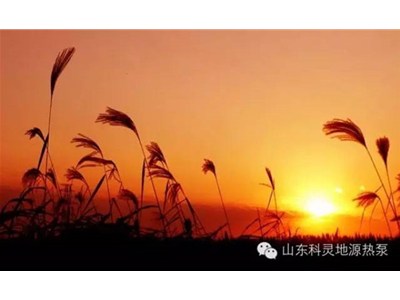 大愛(ài)初秋，醉美科靈
