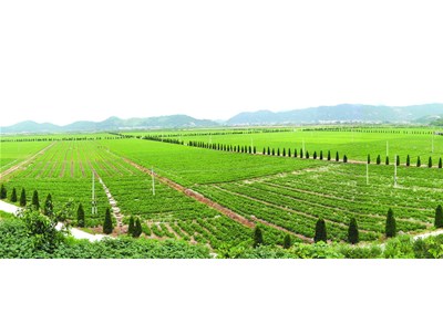 空氣能熱泵助力農業(yè)烘干，行業(yè)增收上升扶貧效果明顯